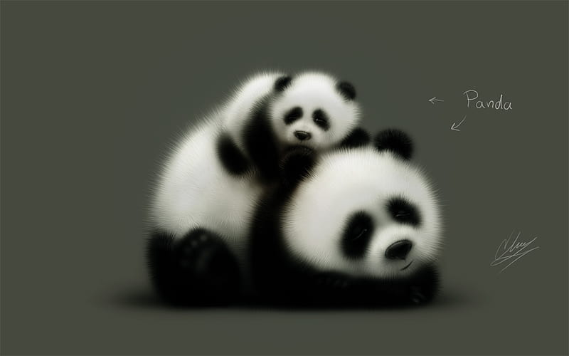 fuzzy friends!, cute, fuzzy, omg, leo19, pandas, friends, HD wallpaper