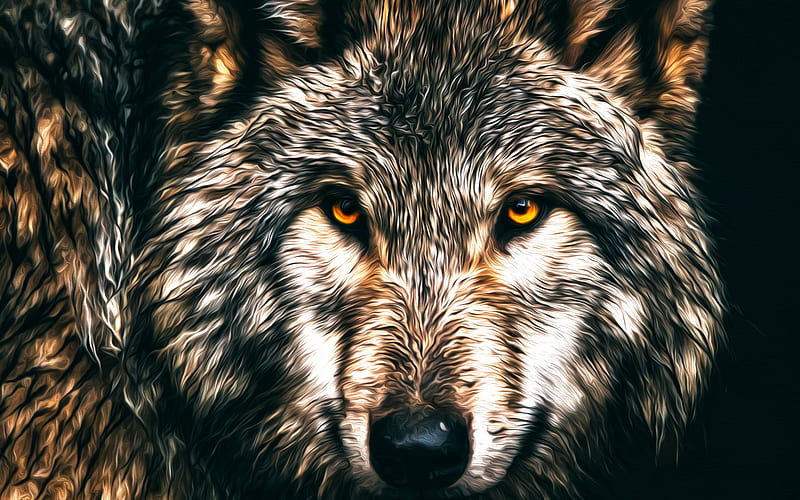 wolf, predator, art, painted wolf, forest animals, wild animals, HD wallpaper