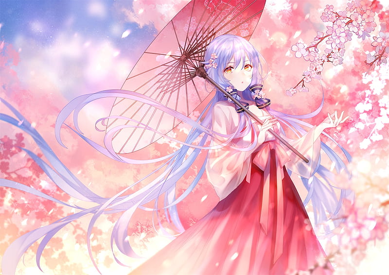xingchen, vocaloid, cherry blossom, umbrella, chinese clothes, Anime, HD wallpaper