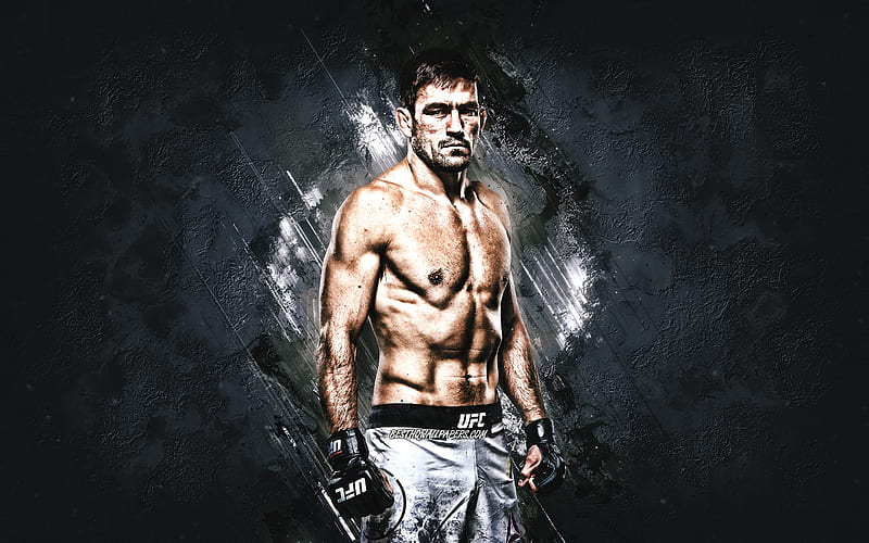 Demian Maia, UFC, MMA, brazilian fighter, portrait, gray stone background, HD wallpaper