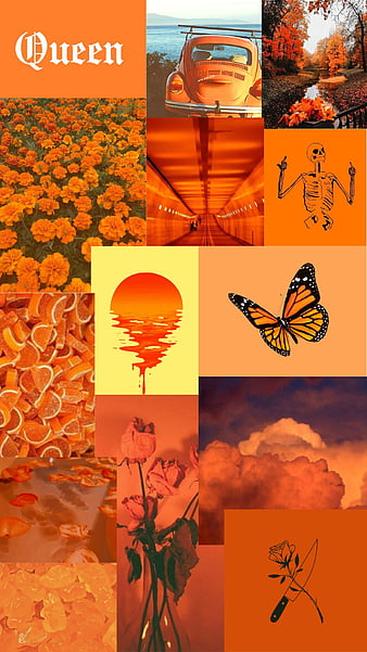 iPhone Orange Aesthetic Wallpaper  PixelsTalkNet