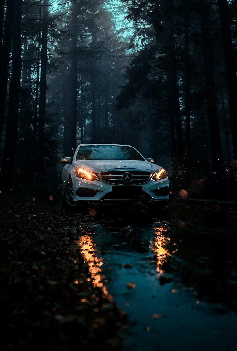 mercedes, car, white, front view, forest, HD phone wallpaper