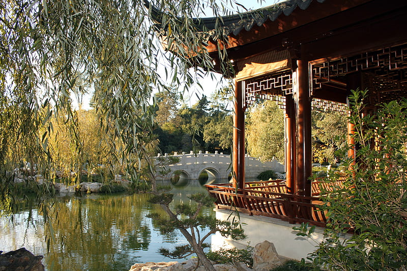 Chinese Garden, garden, bonito, chinese, botanical, HD wallpaper
