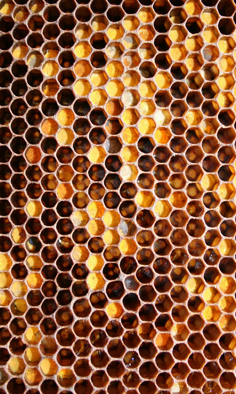 Honeycomb Full HD HDTV 1080p 169 Wallpapers HD Honeycomb 1920x1080  Backgrounds Free Images Download