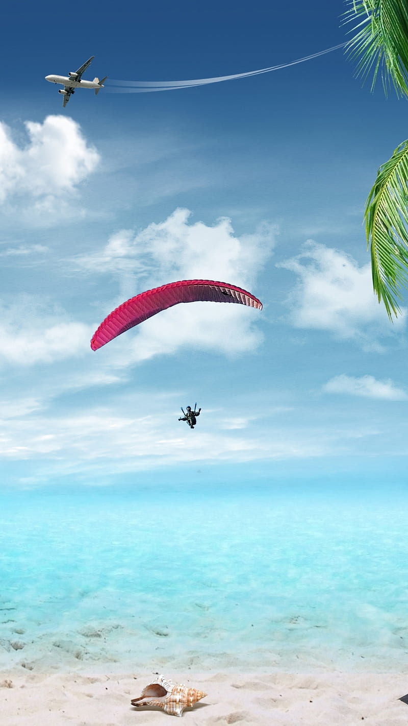Paragliding, airplane, beach, nature, palm tree, plane, sea, shell, sky, HD phone wallpaper