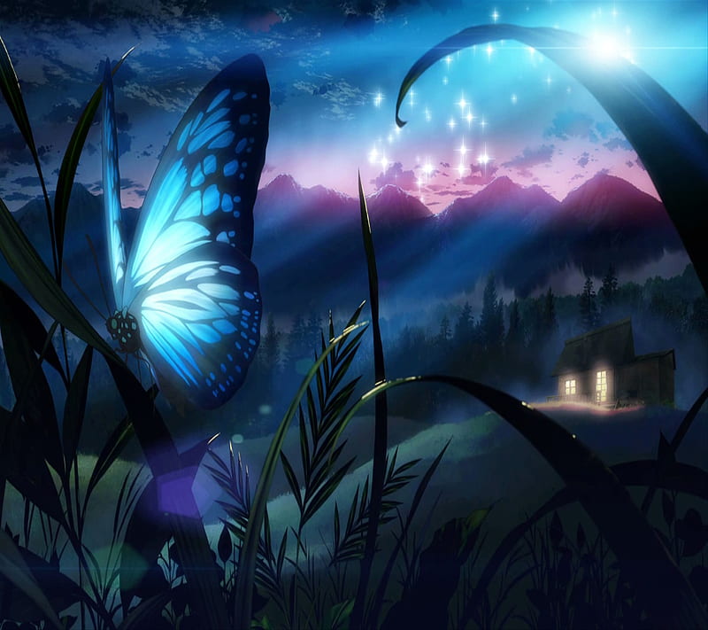 Butterfly, HD wallpaper | Peakpx