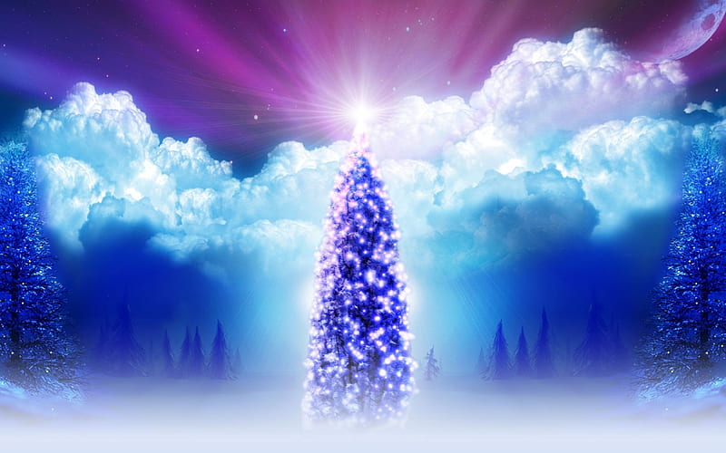 SHINING CHRISTMAS TREE, stars, christmas, trees, sky, clouds, lights ...