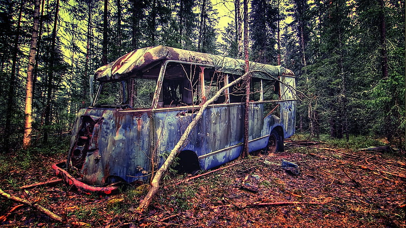 Old Vintage Bus In Forest, vintage, bus, forest, HD wallpaper