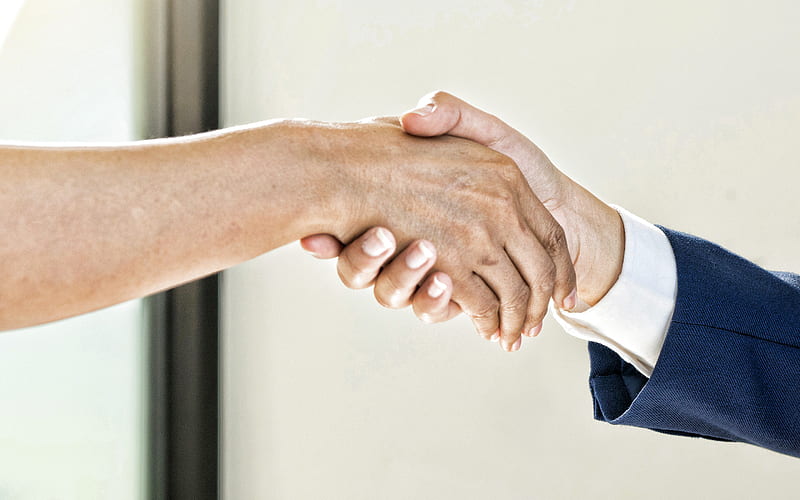 handshake business people, businessmen, making a deal, handshake concepts, HD wallpaper