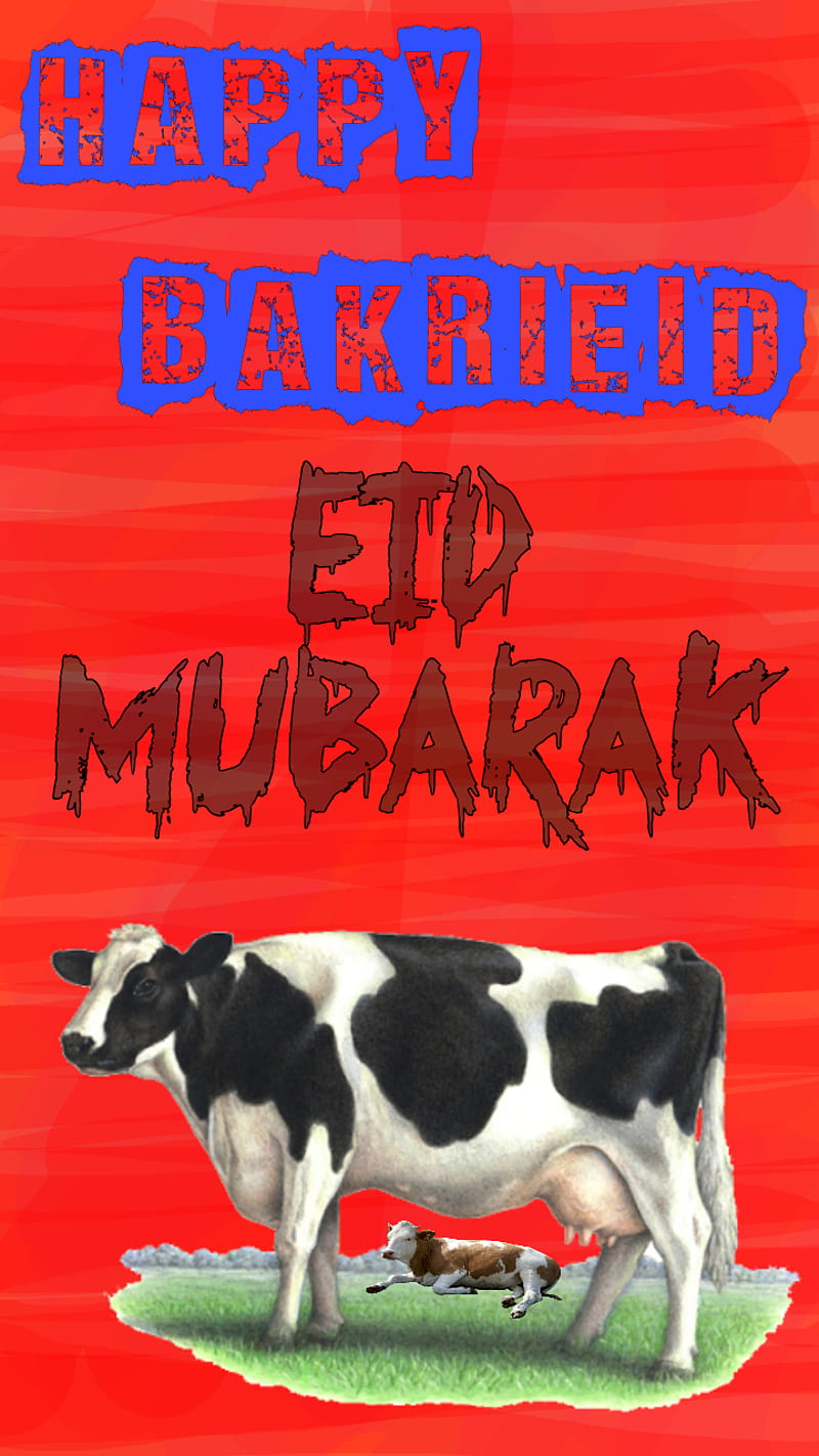 eid ul adha, bakrieid, cow, cows, eid mubarak, horse, horses, race, real, tree, HD phone wallpaper