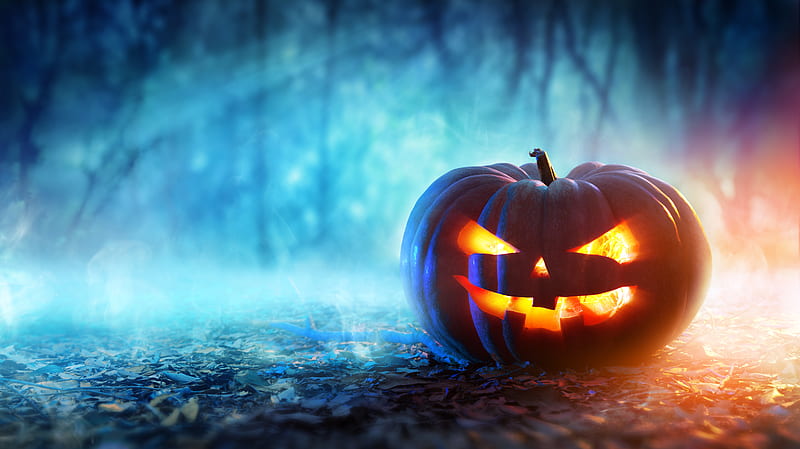 Halloween , halloween, celebrations, holidays, pumpkin, HD wallpaper
