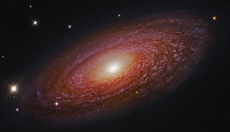 Spiral Galaxy NGC 2841, stars, cool, space, fun, galaxy, HD wallpaper
