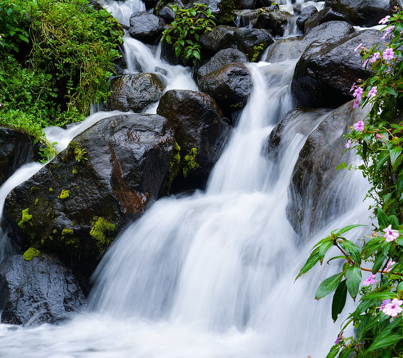 Waterflow, flower, forest, green, happy, land, love, nature, water, waterfall, HD wallpaper