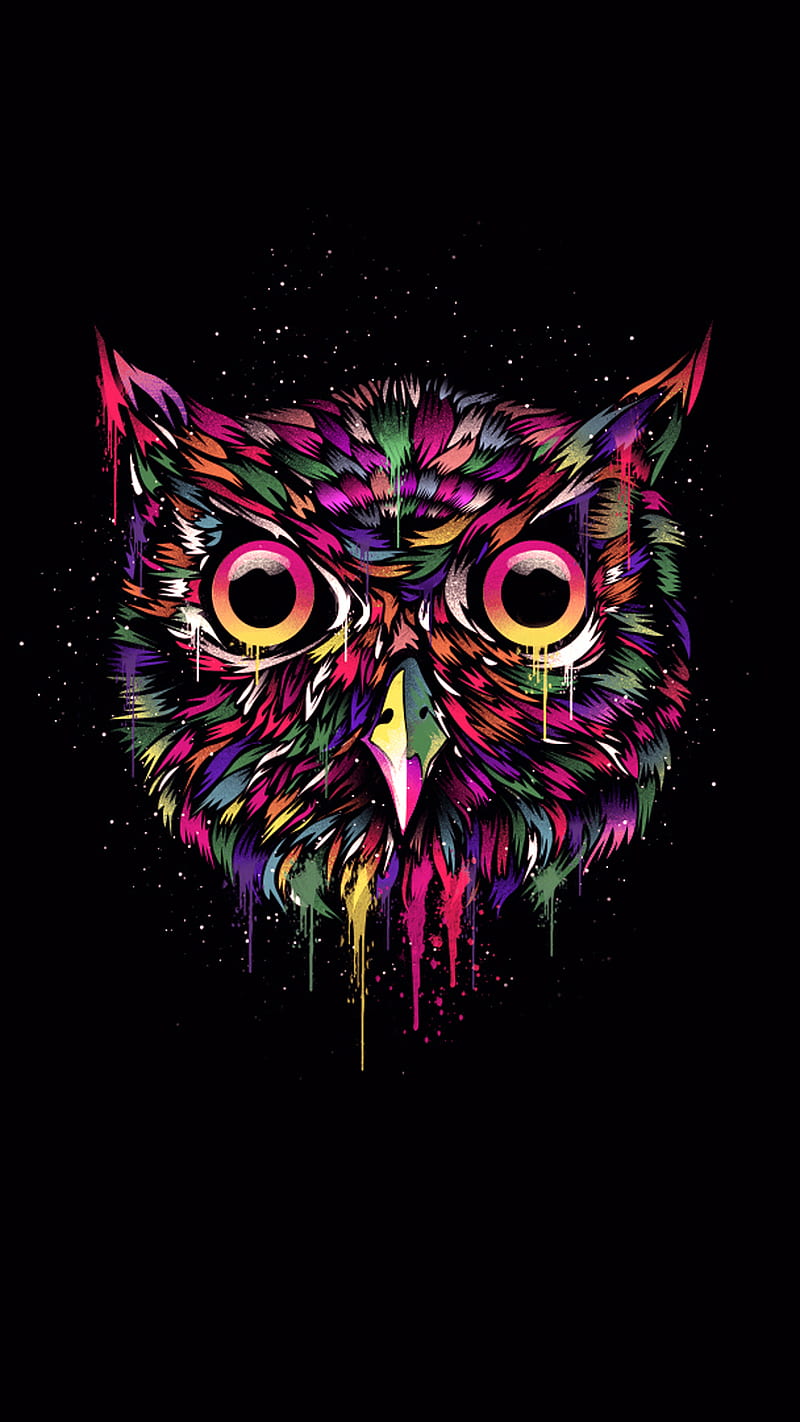 owl, black, owl colorful, HD phone wallpaper