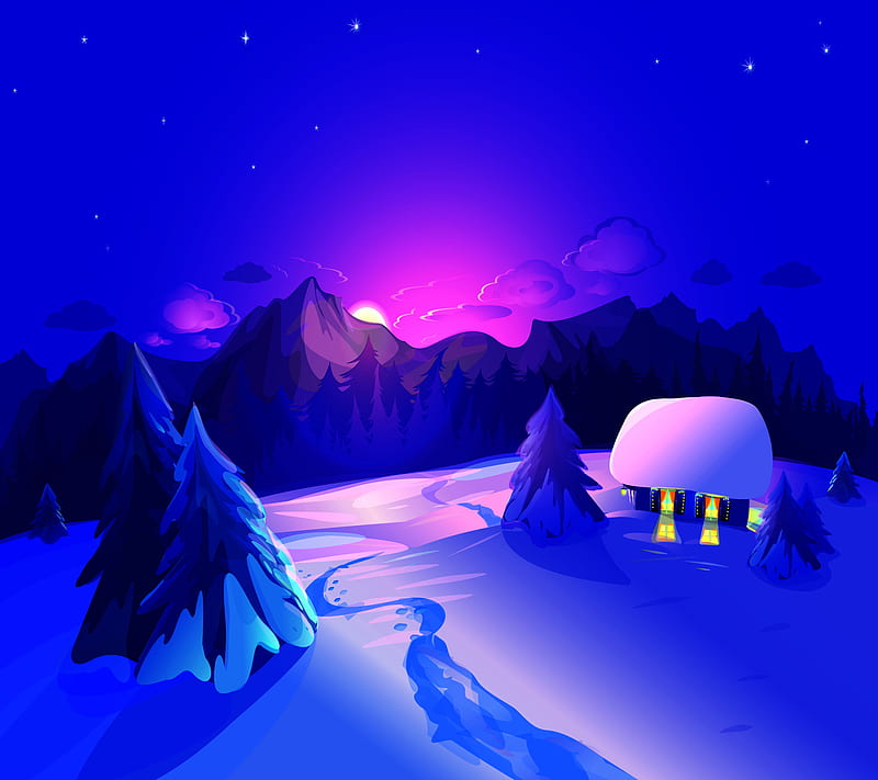 Winter night, house, bird, craciun, mountains, pasari, winter, iarna ...
