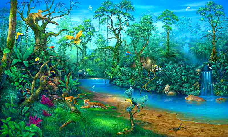 Rainforest, birds, waterfall, colors, nature, river, trees, animals, HD wallpaper