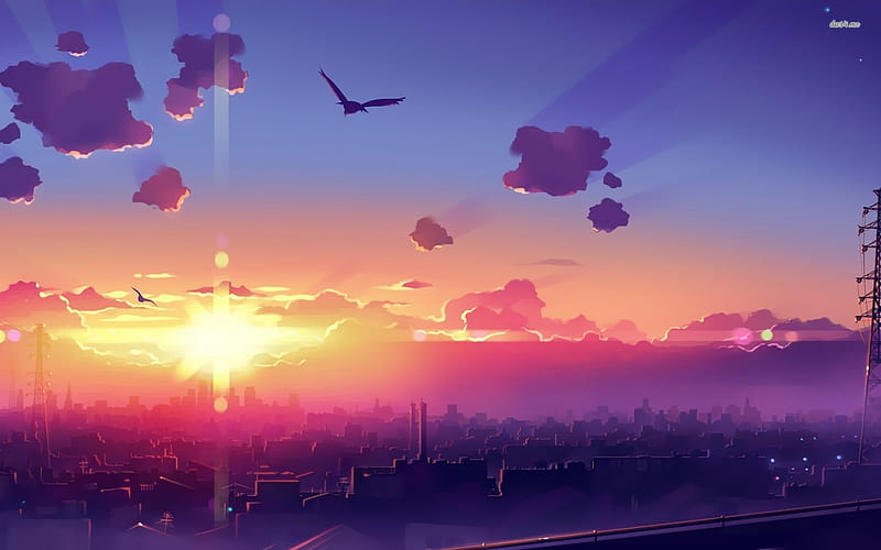 sunset over city, sunset, city, cloud, bird, HD wallpaper