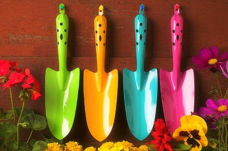 Colorful Shovels, colorful, lovely still life, pretty, graphy, lovely, flowers, love four seasons, shovels, HD wallpaper