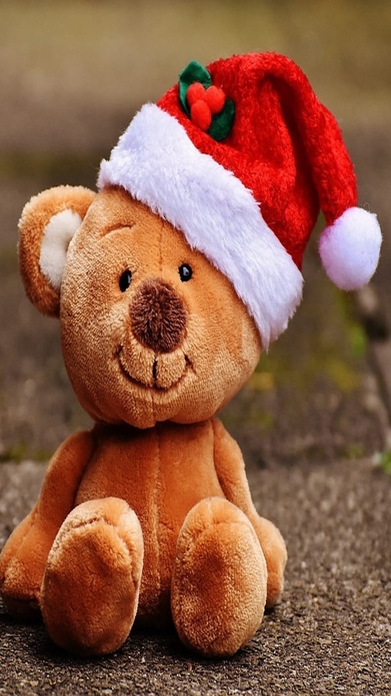 Christmas, bear, bears, cute, love, monkeys, roses, HD phone wallpaper