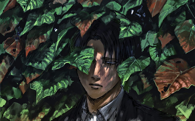 Levi Ackerman Attack on Titan, Levi, green leaves, artwork, Shingeki No Kyojin, manga, Rivai Akkaman, HD wallpaper