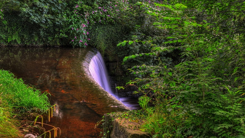 yarrow river falls in lancashire england, forest, river, stones, falls, HD wallpaper