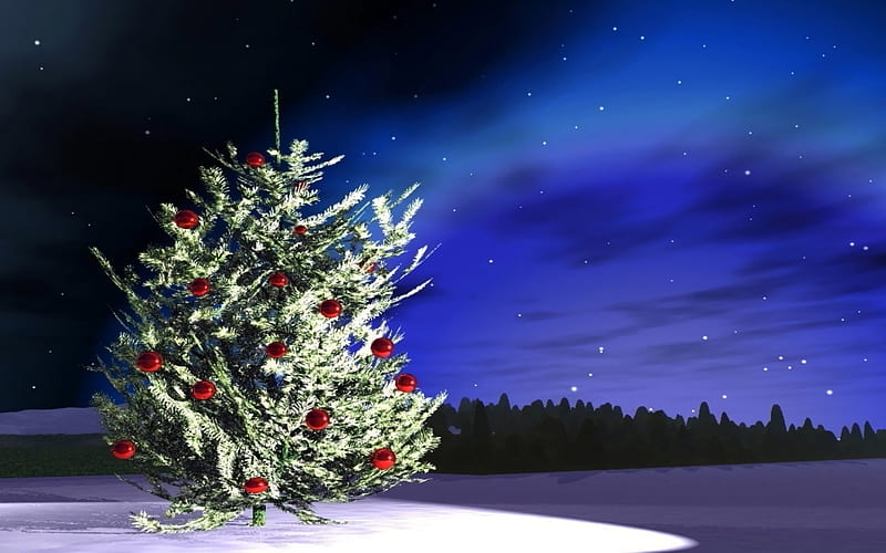 Christmas Tree under Aurora Borealis, Stars, Aurora Borealis, Sky, Christmas Trees, Northern Lights, Nature, HD wallpaper