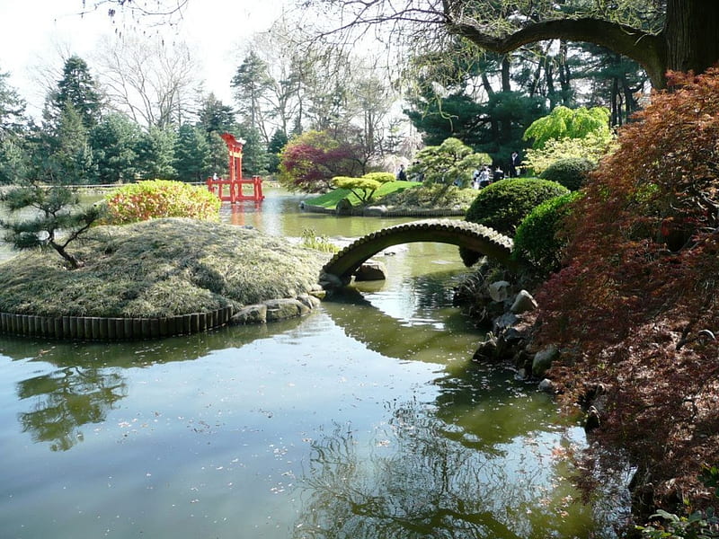 Brooklyn Botanical Garden, water, japanese, bridge, botanical, garden, HD wallpaper