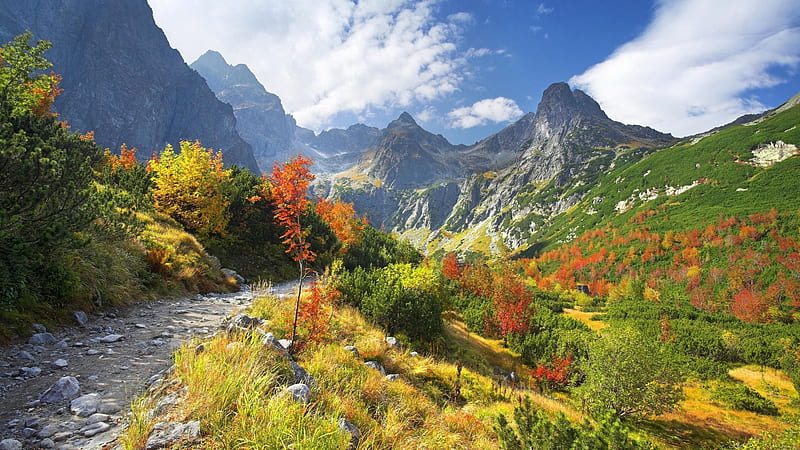 slovakia, tatra, green, field, path, autumn, Landscape, HD wallpaper
