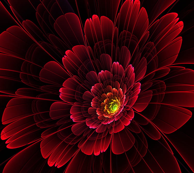 Red Flower, abstract, HD wallpaper | Peakpx