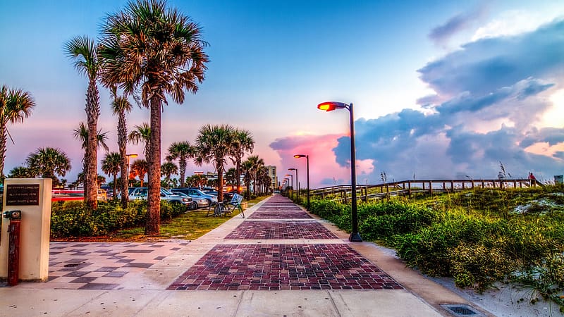 Street, Florida, Jacksonville, , Palm Tree, HD wallpaper