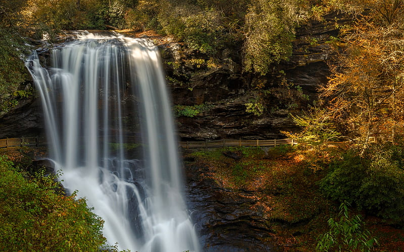 waterfall, rock, autumn, forest, North Carolina, USA, HD wallpaper
