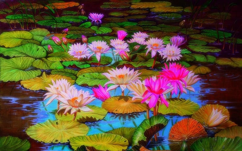Flowers, Lotus, Flower, , Pond, Dragonfly, Lily Pad, HD wallpaper