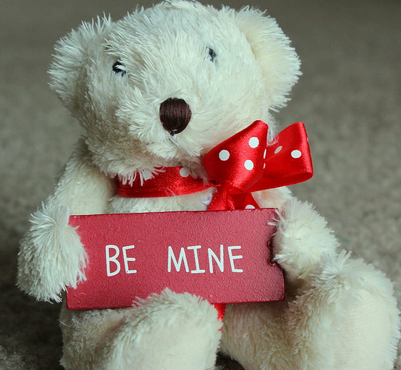 A sweet request..., red, be mine, request, lovely, ribbon, toy, bow, sweet, love, siempre, bears, white, animals, HD wallpaper