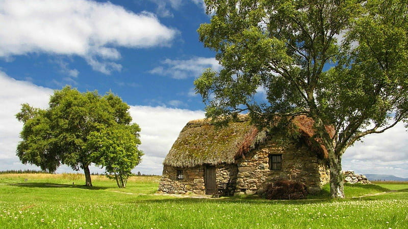 THE LONELY COTTAGE, grass, buildings, stonework, trees, isolation, thatch, fields, sunshine, structures, abandoned, HD wallpaper