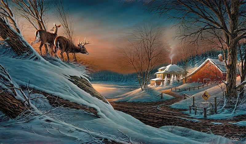 Deer crossing, dusk, bonito, sky, deer, winter, cold, countryside, snow ...