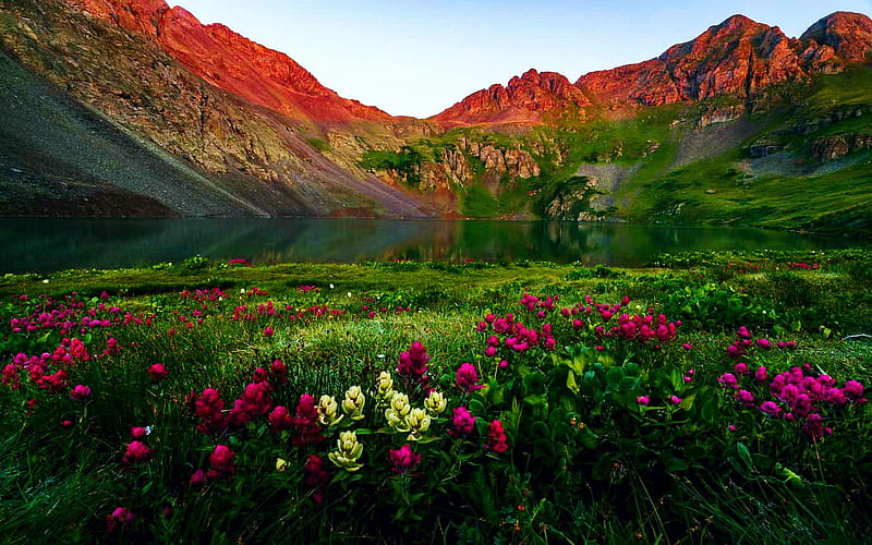 Clear Lake Morning, Colorado, summer, flowers, landscape, mountains, HD wallpaper