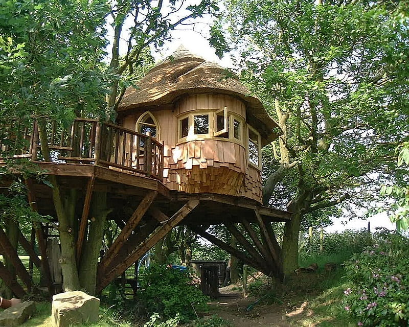 sweet treehouse, architecture, tree, house, sweet, HD wallpaper