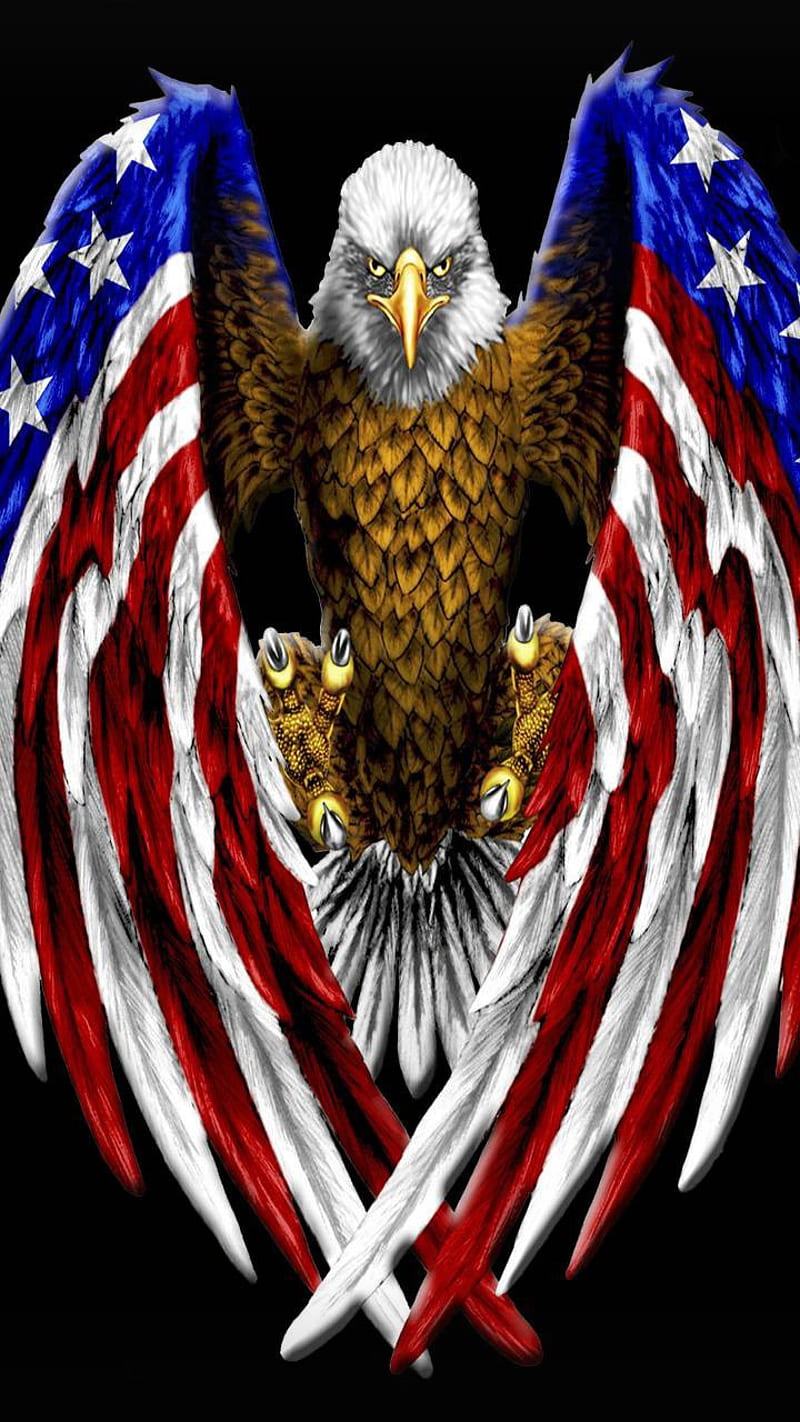America, american, eagle, HD phone wallpaper