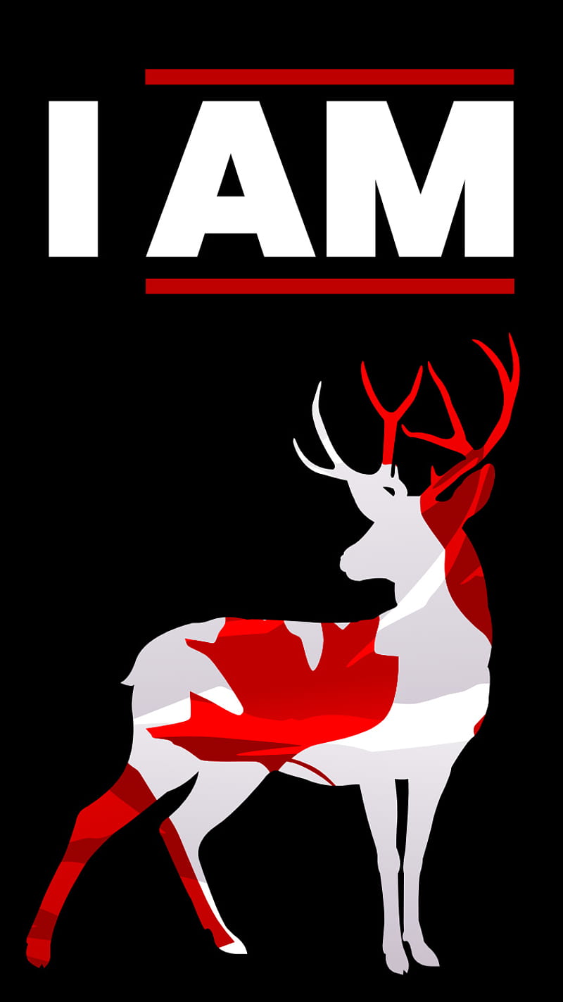 Canadian Deer Black, animal, beer, canada, canadian, deer, desenho, minimal, nature, HD phone wallpaper