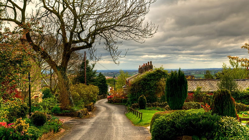 lovely road through quaint english village, gardens, village, tree, road, HD wallpaper
