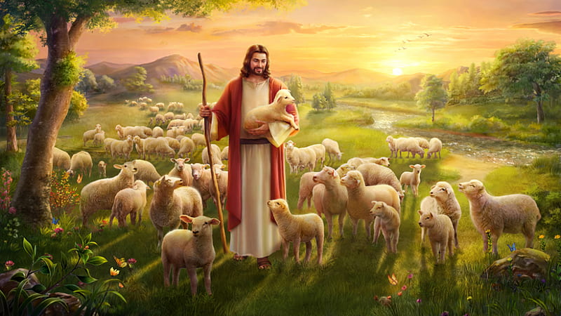 Sheep Lambs Jesus With Stick On Green Grass Jesus, HD wallpaper