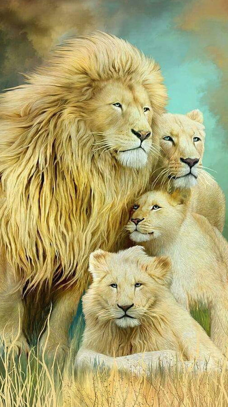 Happy family, animals, king, lion, lions, wild, HD phone wallpaper | Peakpx