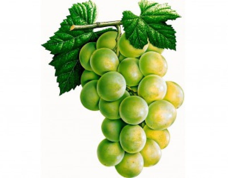 Green grapes, fruit, grape, health, food, eat, HD wallpaper