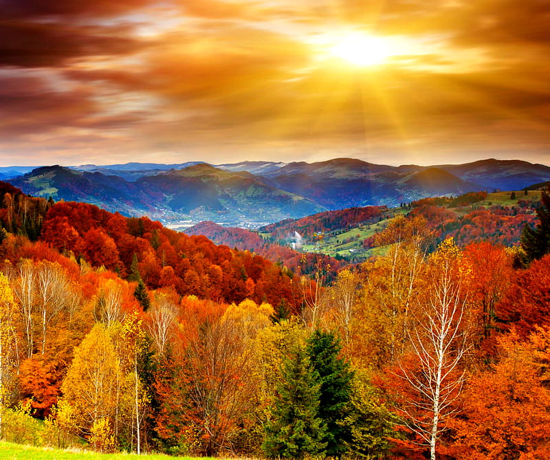 Autumn, colours, HD wallpaper