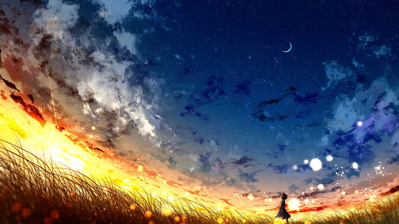 anime sky, plants, sunset, starry sky, scenic, crescent, anime girl, Anime, HD wallpaper