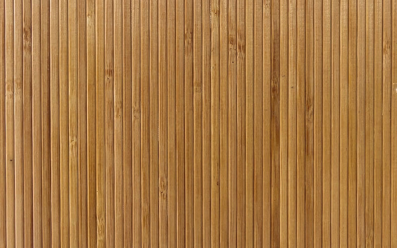 bamboo sticks texture, bambusoideae sticks, macro, bamboo textures, green bamboo texture, bamboo canes, bamboo sticks, green wooden background, horizontal bamboo texture, bamboo, HD wallpaper