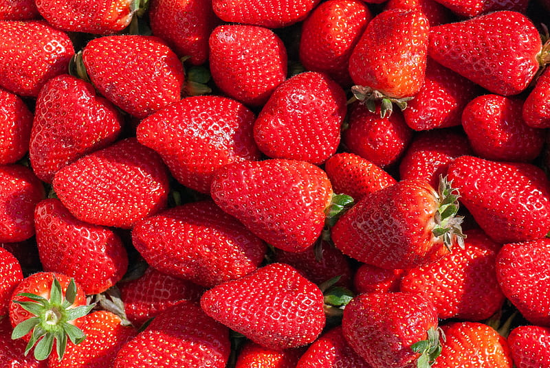 strawberry, berry, red, fruit, HD wallpaper