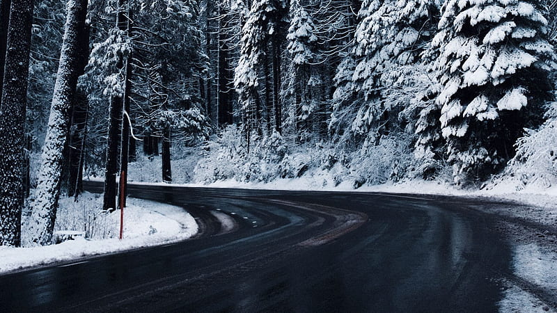 Man Made, Road, Snow, Tree, Winter, HD wallpaper