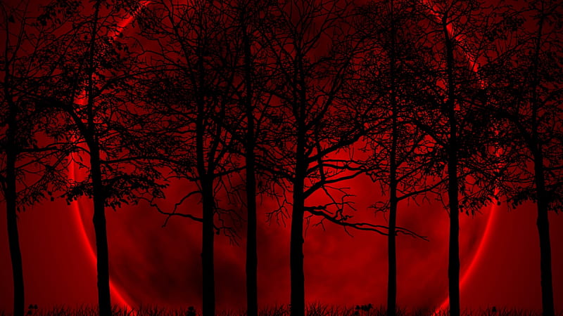 Moon in the Forest, red, 1920x1080, renderized, bonito, nice, moon, contrast, HD wallpaper |