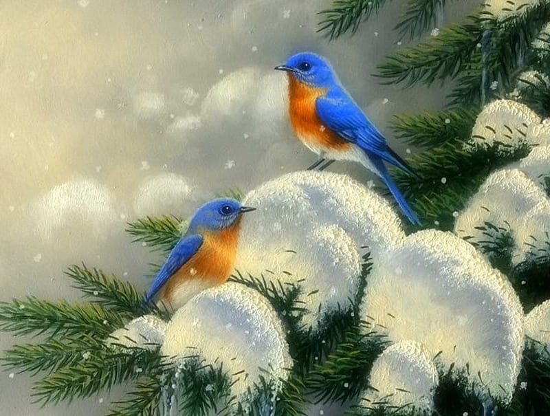 Blue Birds, holidays, love four seasons, birds, attractions in dreams, xmas and new year, winter, paintings, snow, pine trees, animals, HD wallpaper